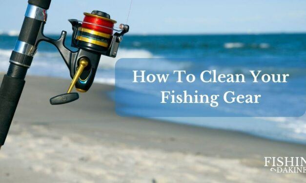 How To Clean Your Fishing Gear