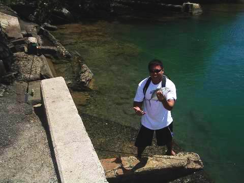 Fishing Dakine - Papio