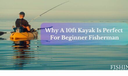 Why A 10ft Kayak Is Perfect For Beginner Fisherman